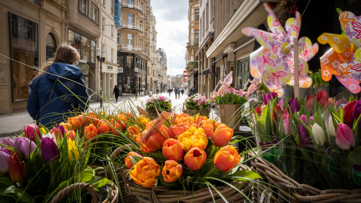 Retail Report 2025 (2/2) : quelles évolutions du côté des consommateurs ?