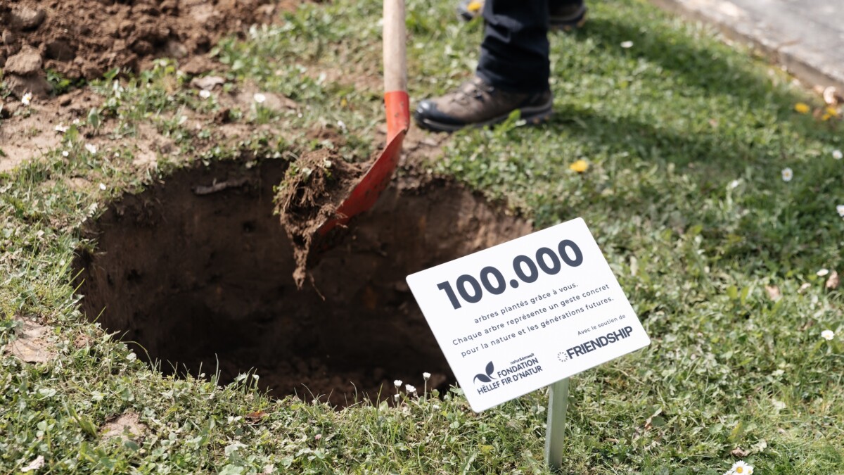 Banque Raiffeisen : 100 000 arbres plantés grâce aux cartes de crédit VISA durables !