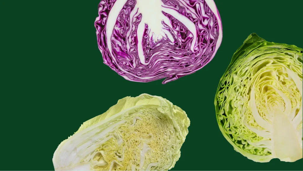 Différentes variétés de choux